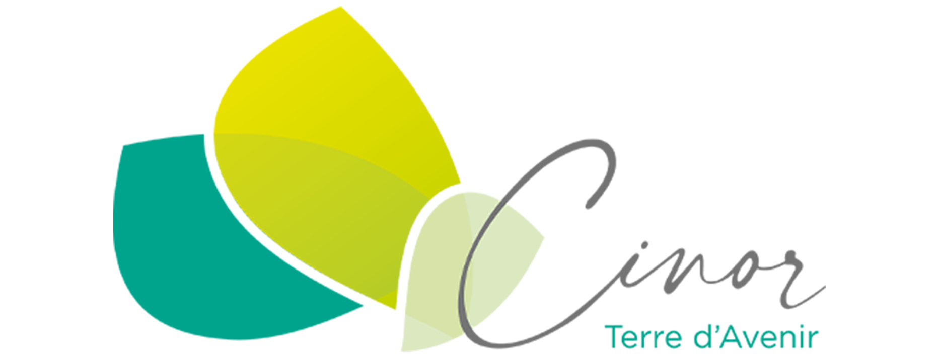 Client 12